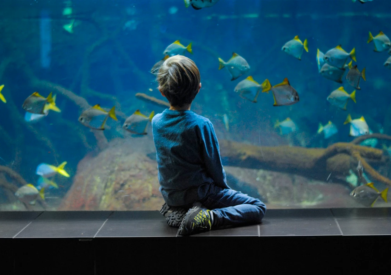 excursiones culturales acuario dinacan2